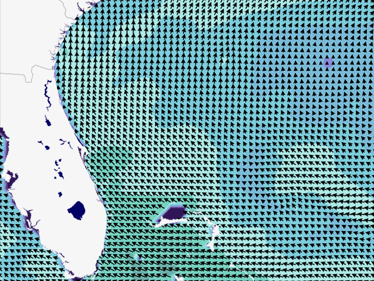 Wave Model Wind Forecast