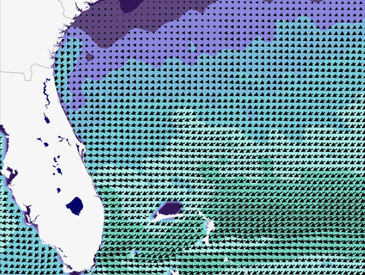 Wave Model Wind Forecast