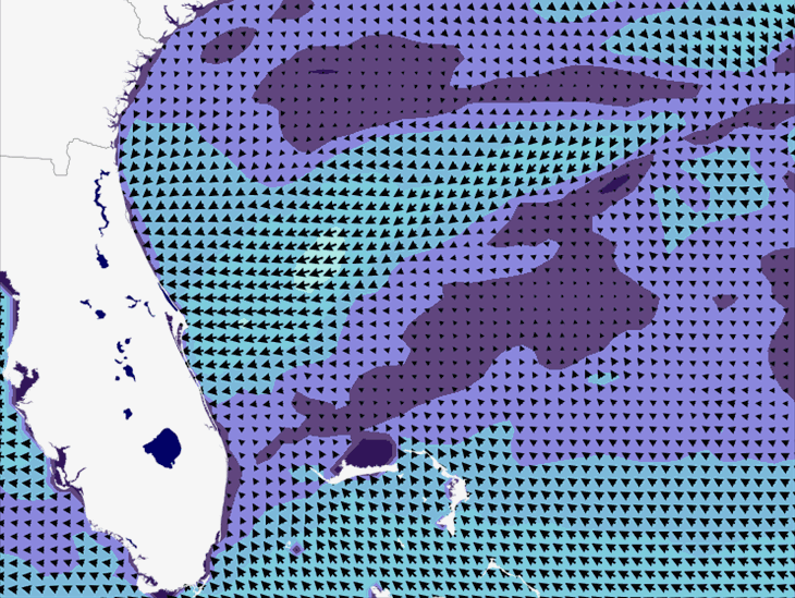 Wave Model Wind Forecast