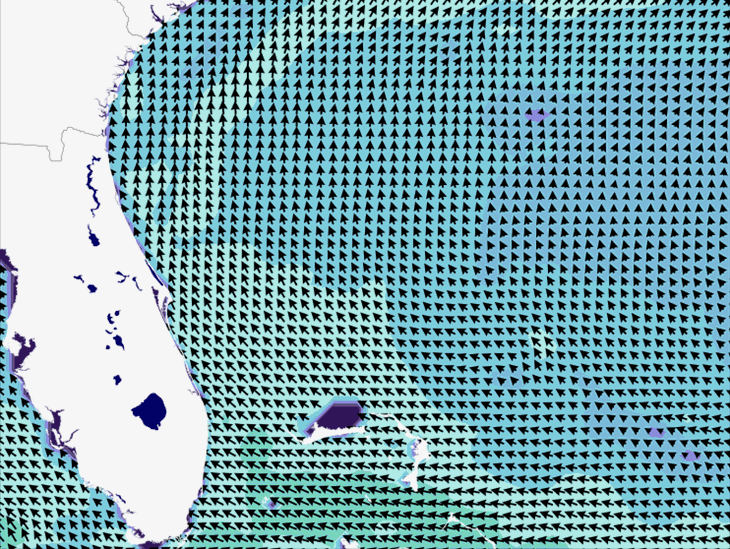 Wave Model Wind Forecast