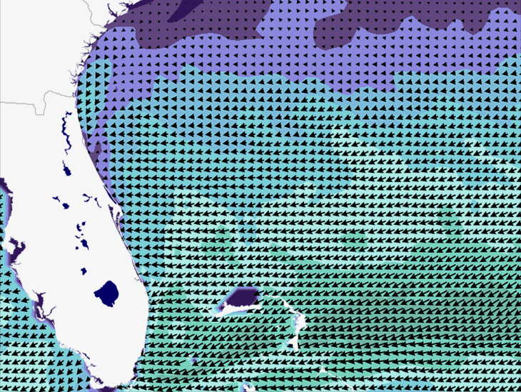 Wave Model Wind Forecast