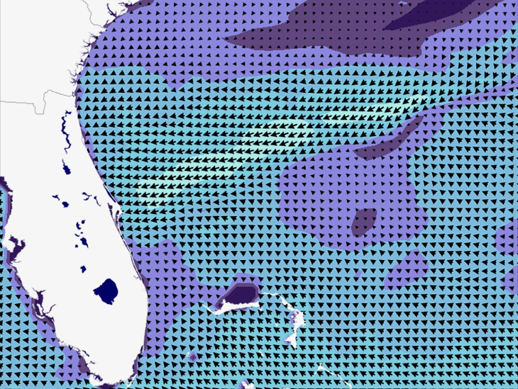 Wave Model Wind Forecast