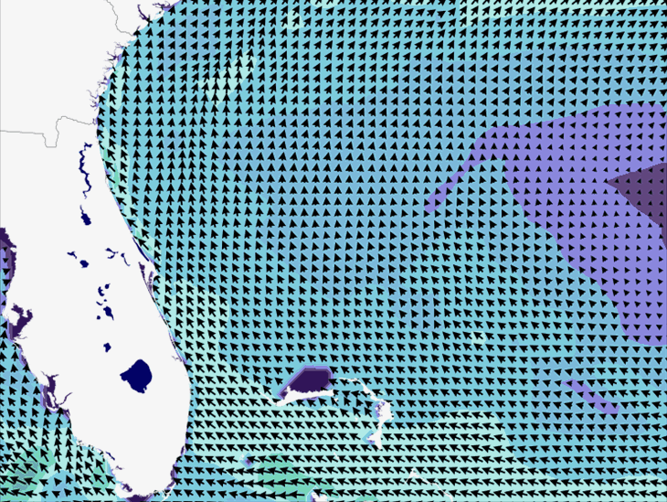 Wave Model Wind Forecast