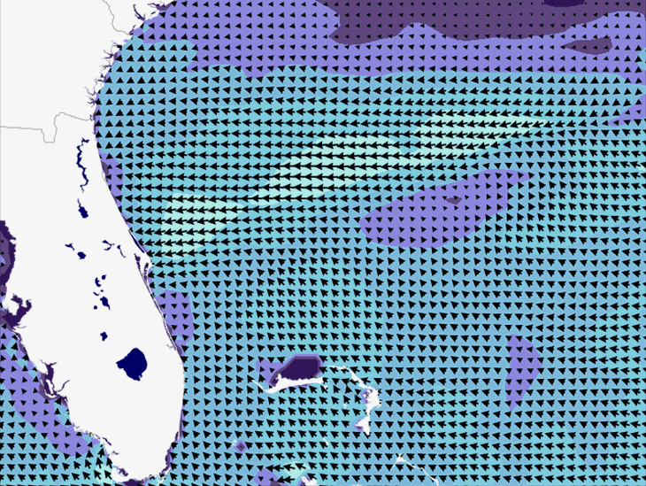 Wave Model Wind Forecast