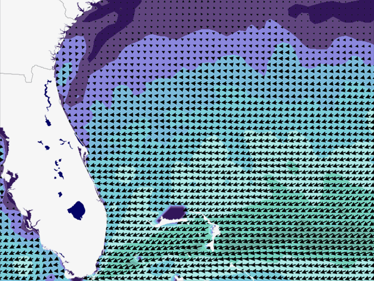 Wave Model Wind Forecast