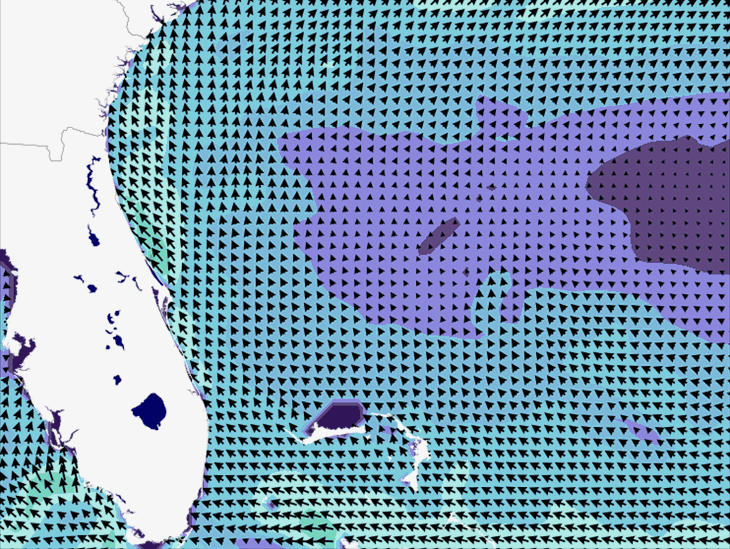 Wave Model Wind Forecast