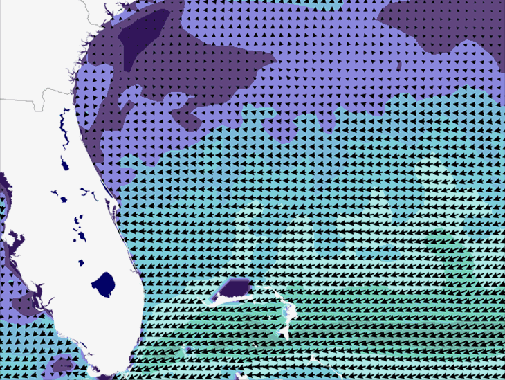 Wave Model Wind Forecast