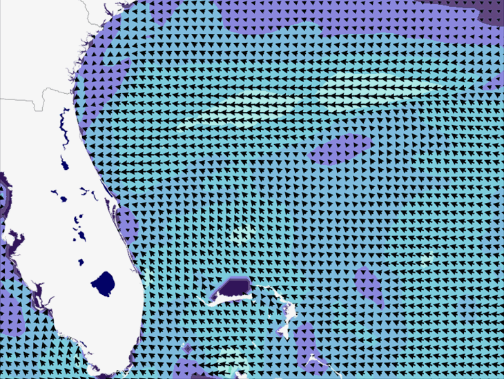 Wave Model Wind Forecast