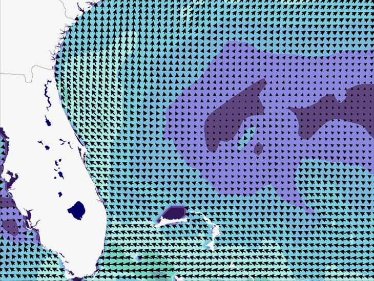 Wave Model Wind Forecast
