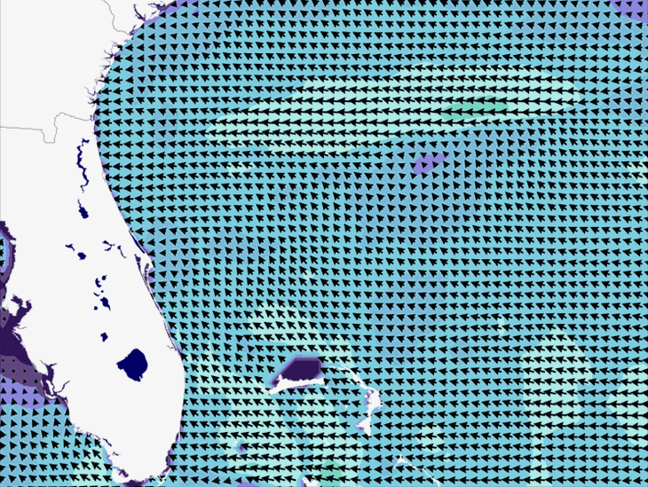 Wave Model Wind Forecast