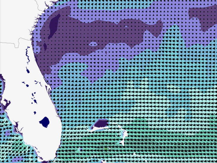 Wave Model Wind Forecast