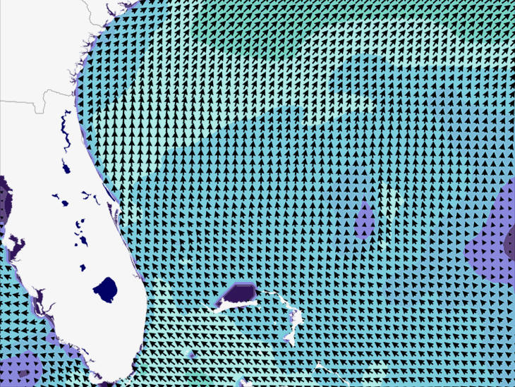 Wave Model Wind Forecast