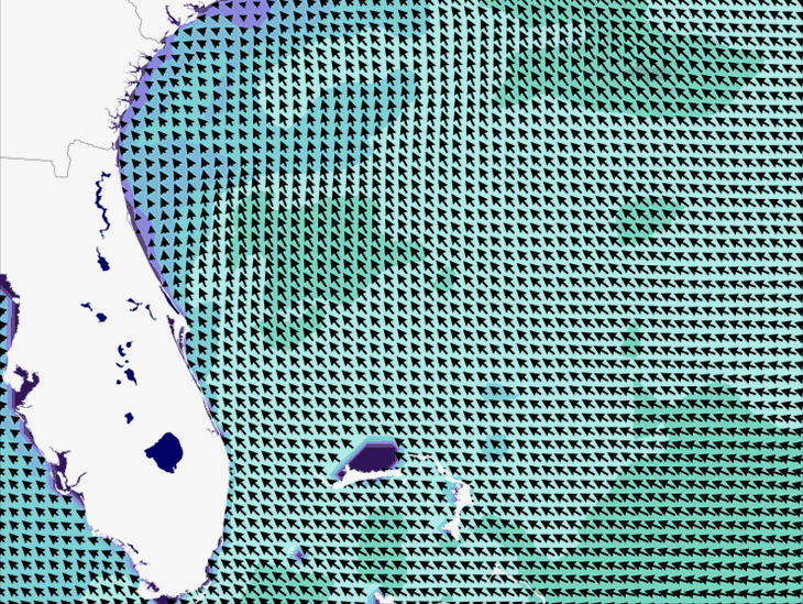 Wave Model Wind Forecast