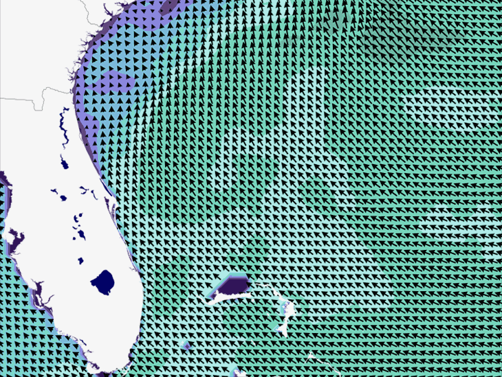 Wave Model Wind Forecast