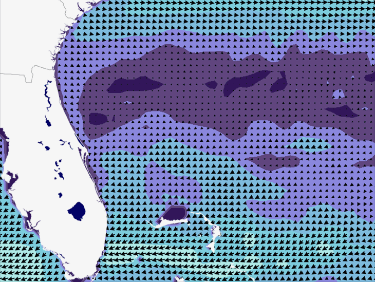 Wave Model Wind Forecast