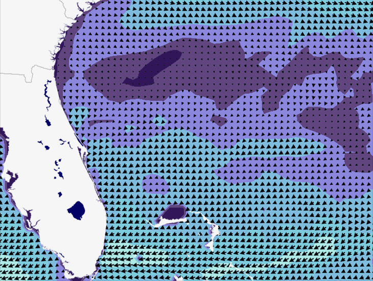 Wave Model Wind Forecast