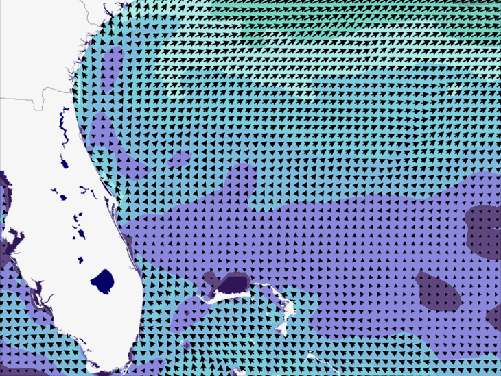 Wave Model Wind Forecast