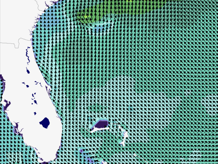 Wave Model Wind Forecast