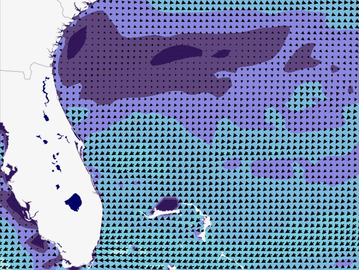 Wave Model Wind Forecast