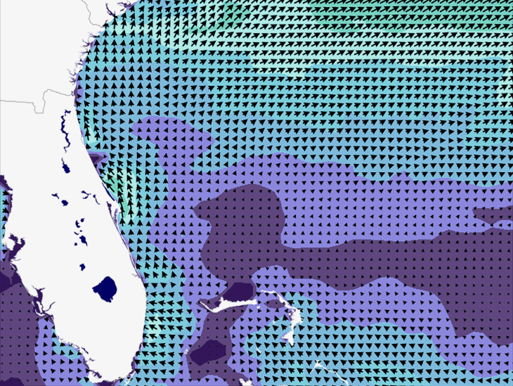 Wave Model Wind Forecast