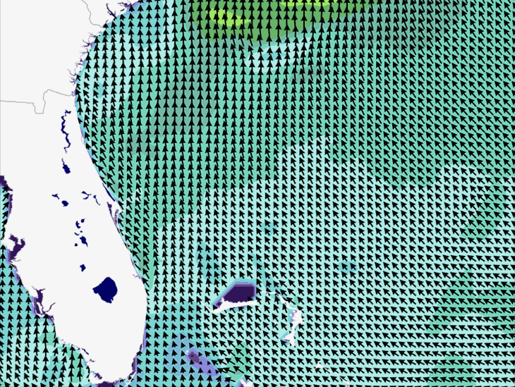Wave Model Wind Forecast