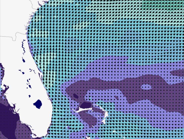 Wave Model Wind Forecast