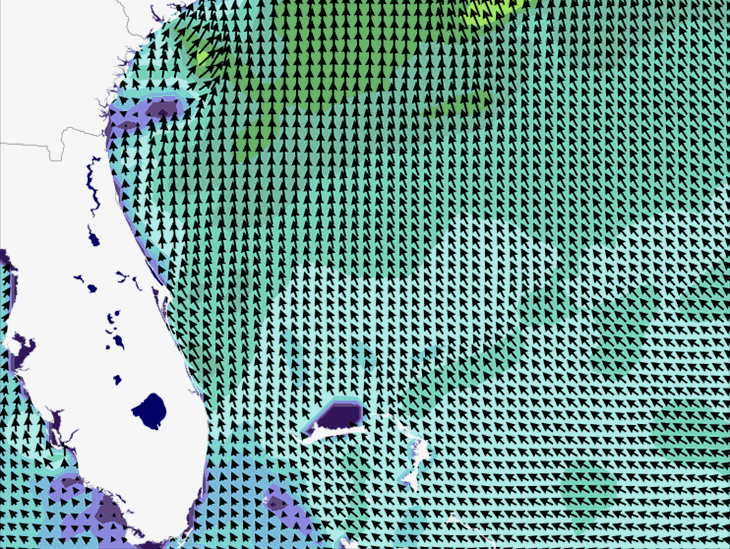 Wave Model Wind Forecast