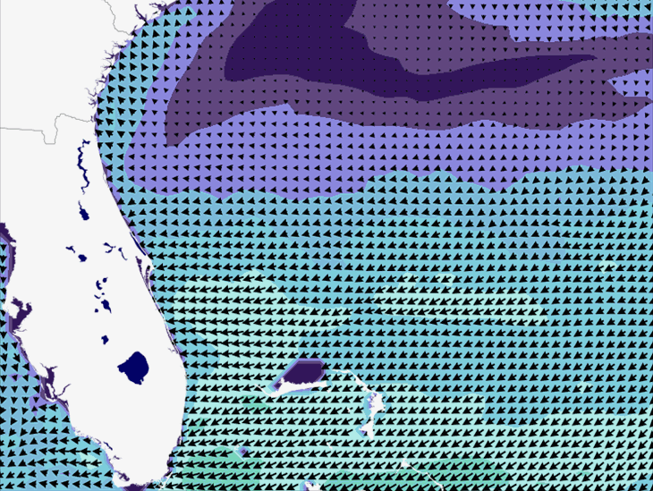 Wave Model Wind Forecast