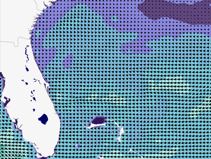 Wave Model Wind Forecast