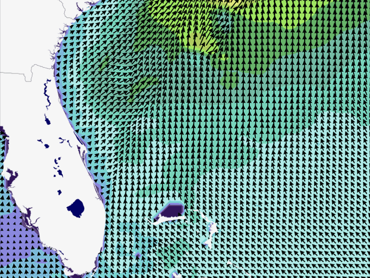 Wave Model Wind Forecast