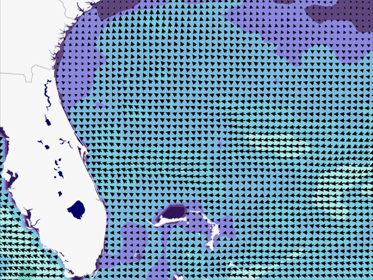 Wave Model Wind Forecast