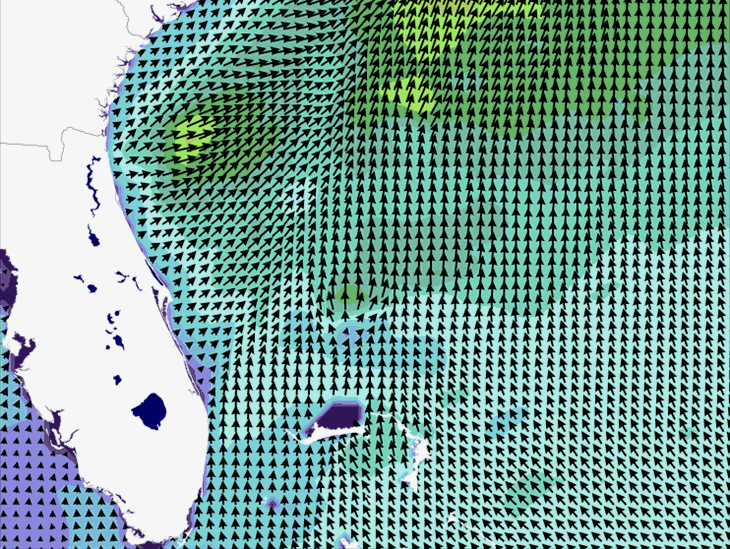 Wave Model Wind Forecast
