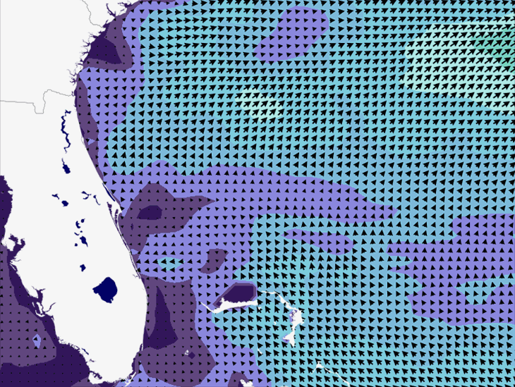 Wave Model Wind Forecast
