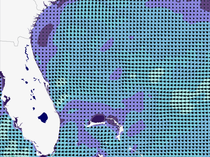 Wave Model Wind Forecast