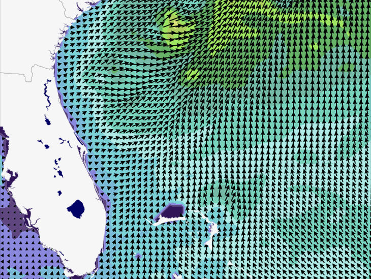 Wave Model Wind Forecast