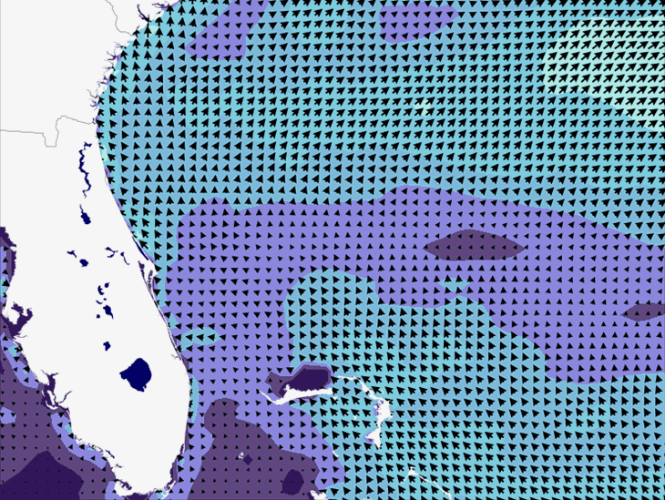 Wave Model Wind Forecast