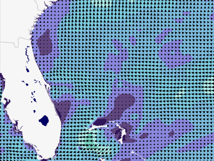 Wave Model Wind Forecast