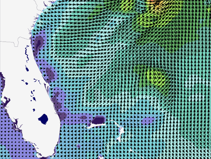Wave Model Wind Forecast