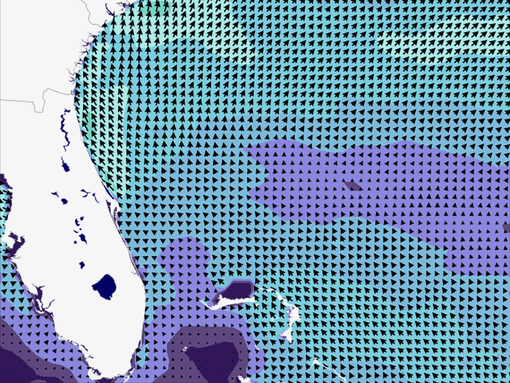 Wave Model Wind Forecast
