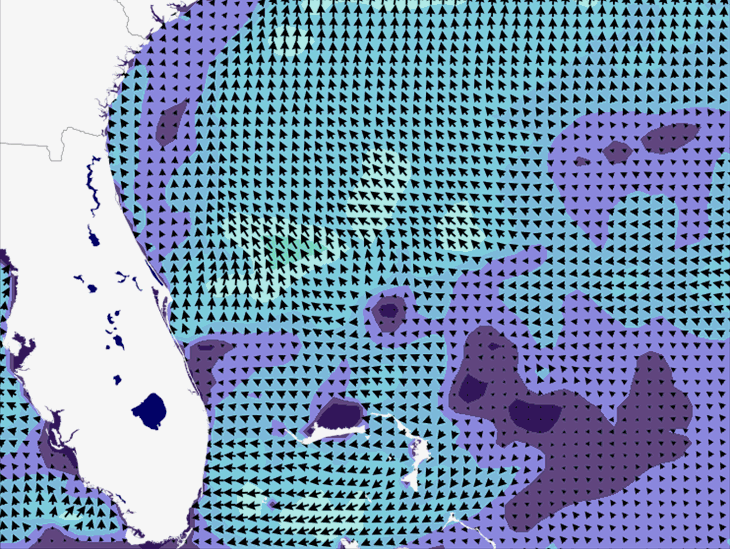 Wave Model Wind Forecast