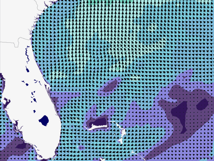 Wave Model Wind Forecast