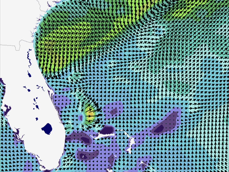 Wave Model Wind Forecast