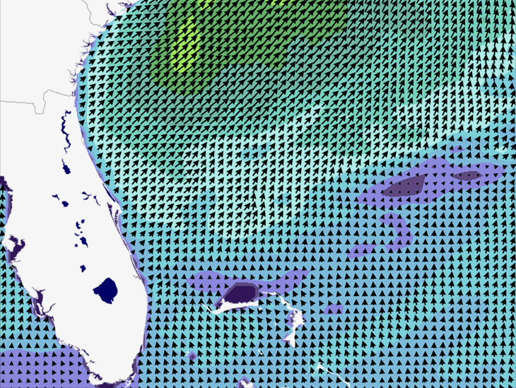 Wave Model Wind Forecast