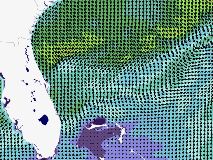 Wave Model Wind Forecast