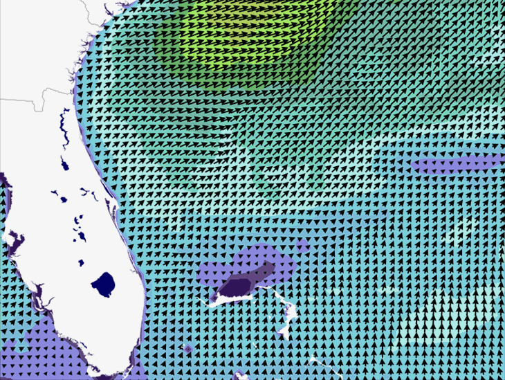 Wave Model Wind Forecast