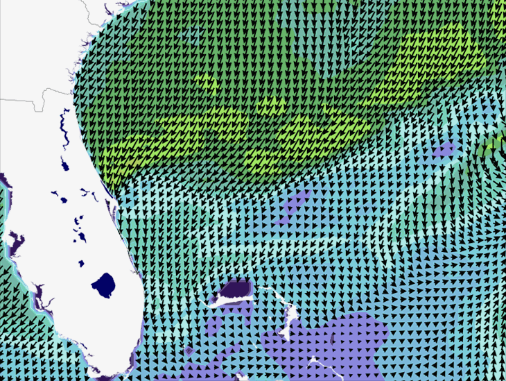 Wave Model Wind Forecast