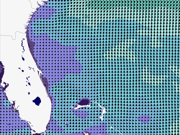 Wave Model Wind Forecast