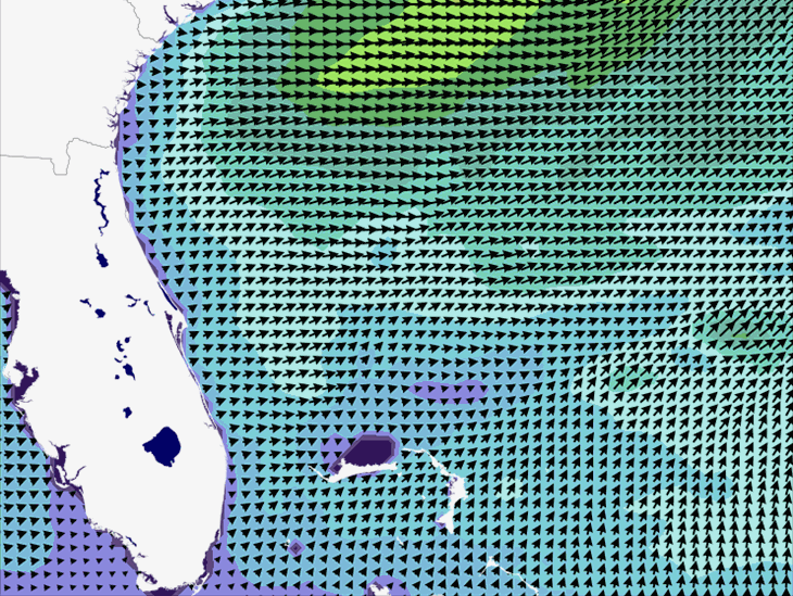 Wave Model Wind Forecast