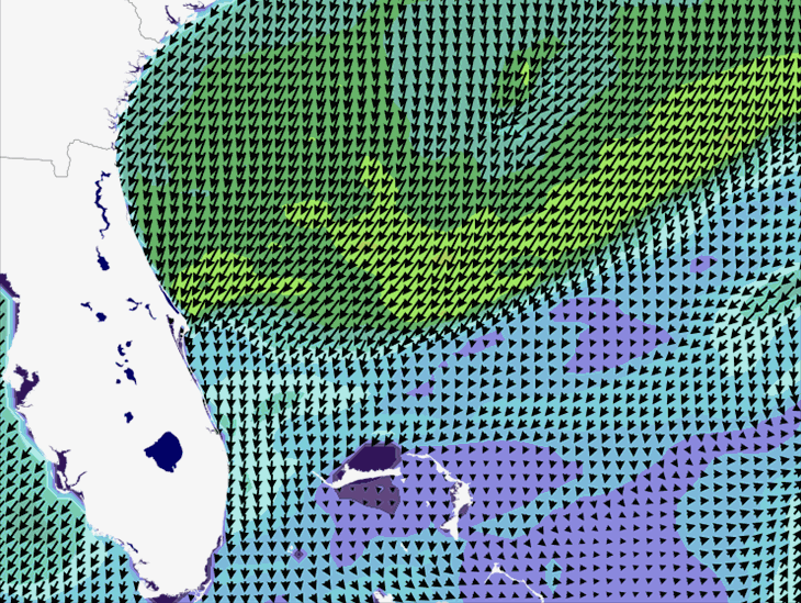 Wave Model Wind Forecast