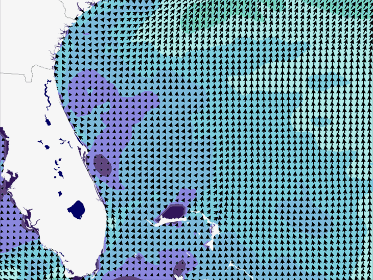 Wave Model Wind Forecast